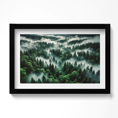 Obraz s rámem dekorativní Krajina ranní mlhy v lese