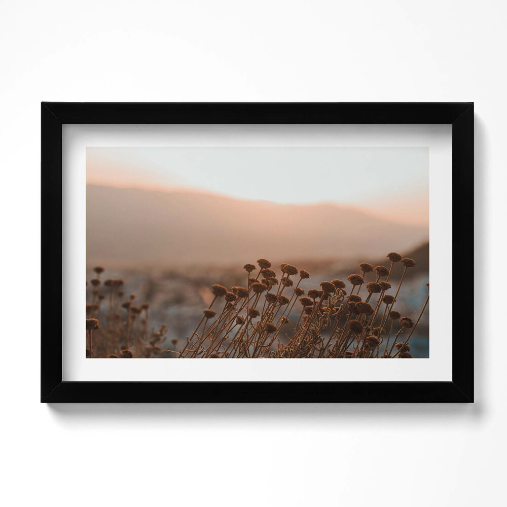 Obraz s rámem dekorativní Boho romantická tráva krajina