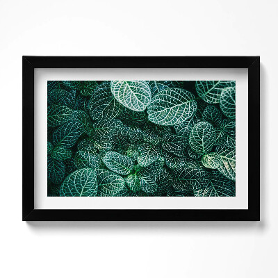 Obraz s rámem dekorativní Zelené divoké listy