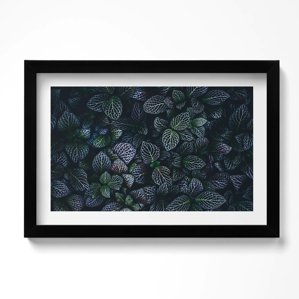 Obraz s rámem dekorativní Tmavé divoké listy