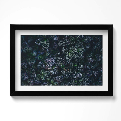 Obraz s rámem dekorativní Tmavé divoké listy