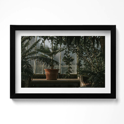Obraz s rámem dekorativní Vintage rostliny na okně