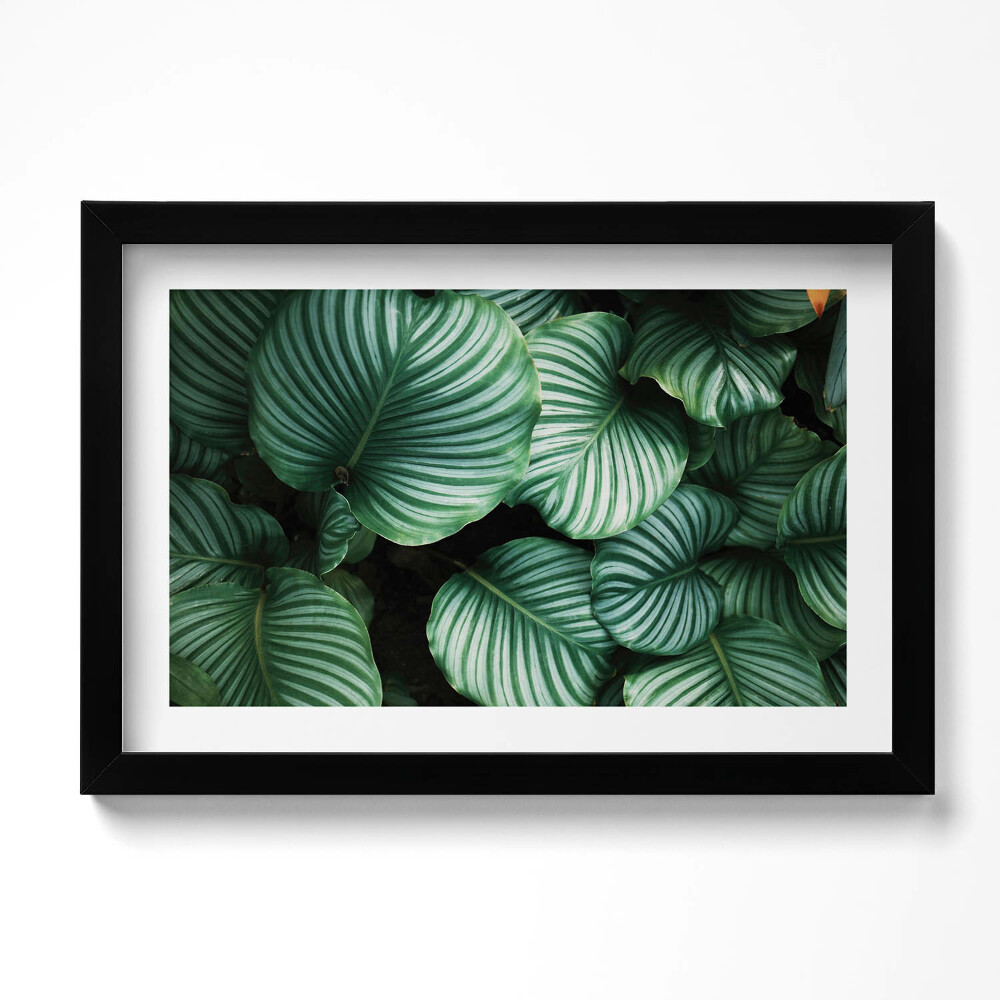 Obraz s rámem dekorativní Velké zelené listy