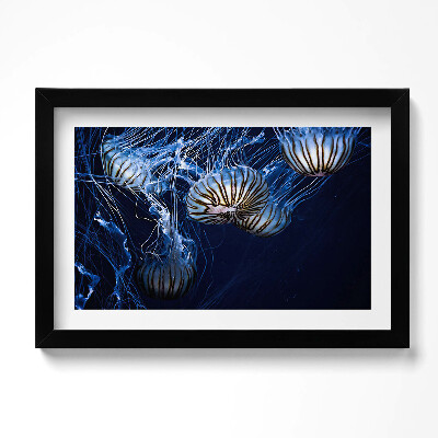 Obraz s rámem dekorativní Modré medúzy ve vodě