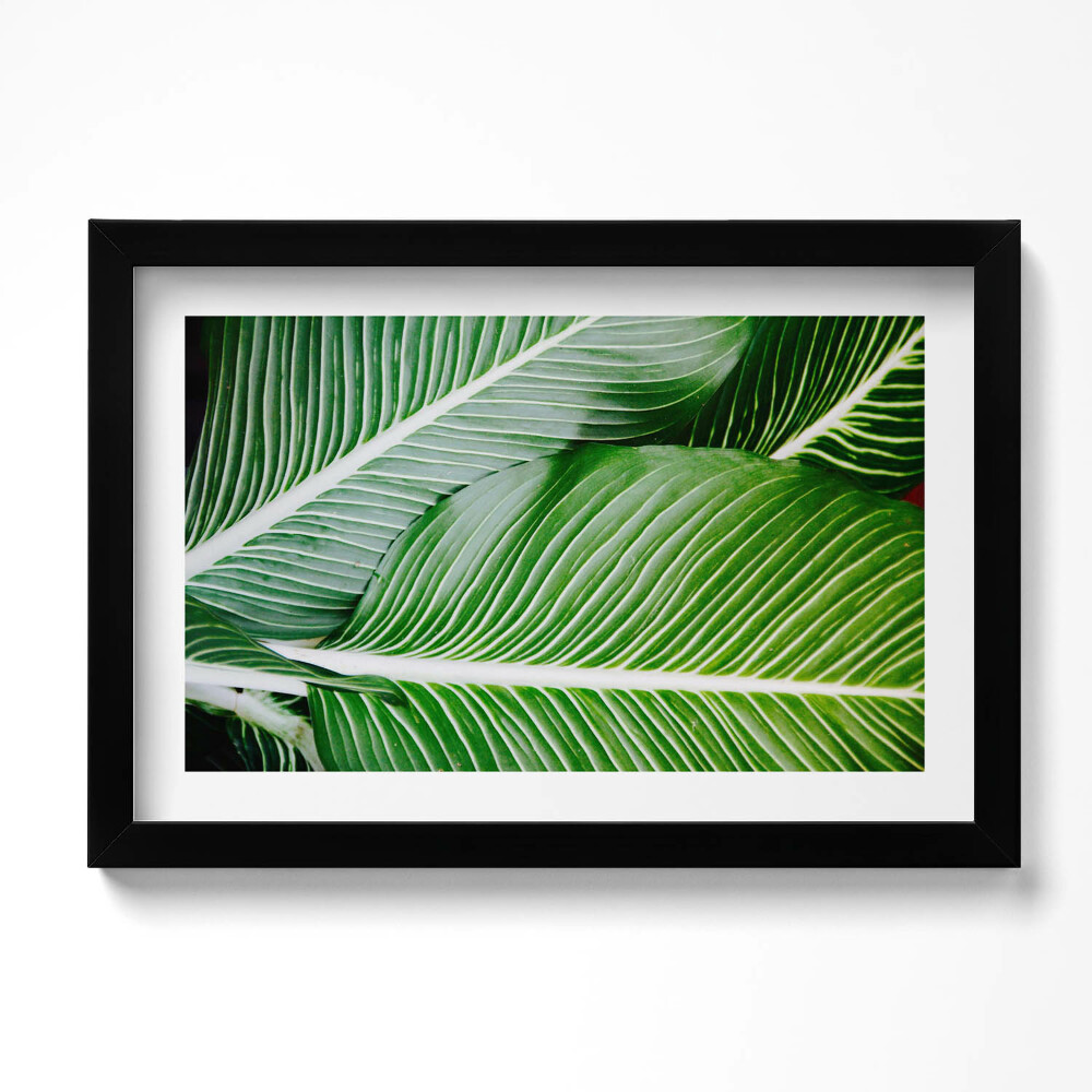 Obraz s rámem dekorativní Exotické zelené listy