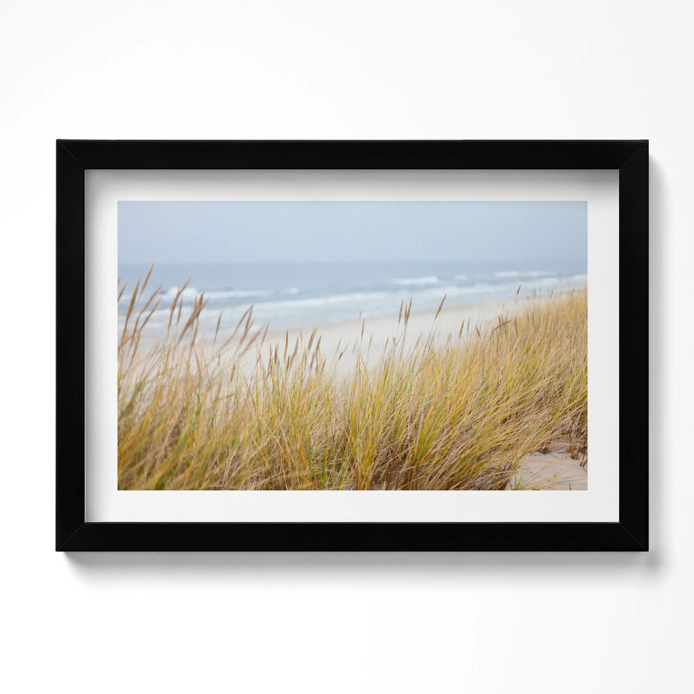 Obraz s rámem dekorativní Krajina přímořské pláže a trávy