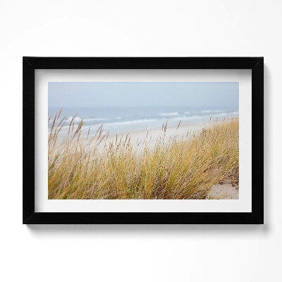 Obraz s rámem dekorativní Krajina přímořské pláže a trávy