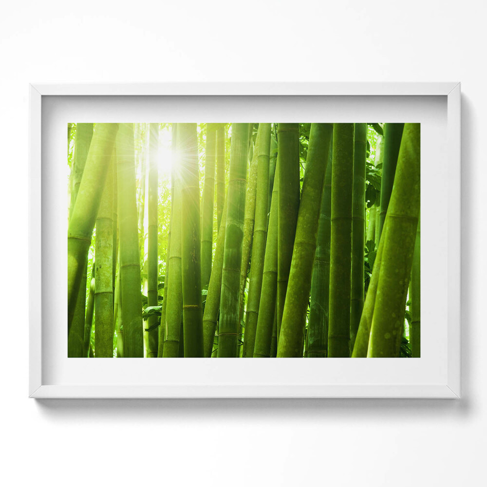 Obraz v rámu moderní Zelené bambusové stonky