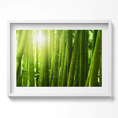 Obraz v rámu moderní Zelené bambusové stonky