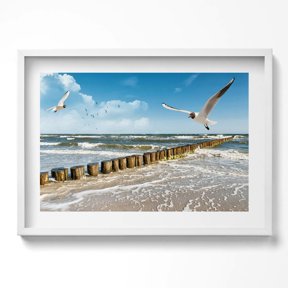 Obraz v rámu moderní Pták u moře