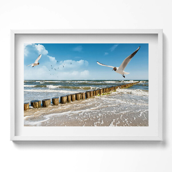 Obraz v rámu moderní Pták u moře