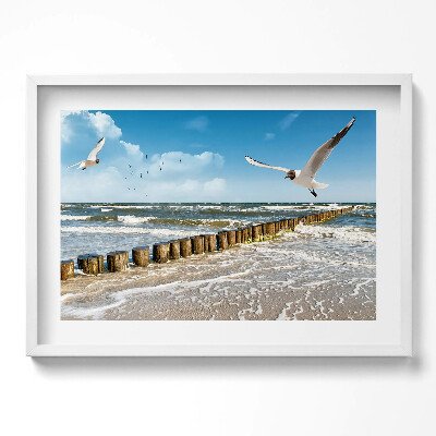 Obraz v rámu moderní Pták u moře