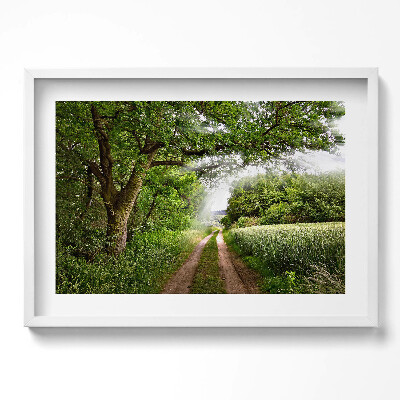 Obraz v rámu moderní Cesta, stromy a sluneční paprsky