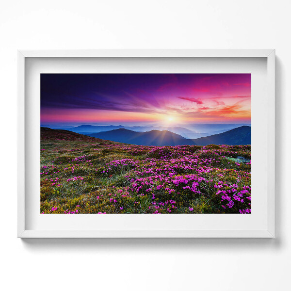 Obraz v rámu moderní Východ slunce květiny