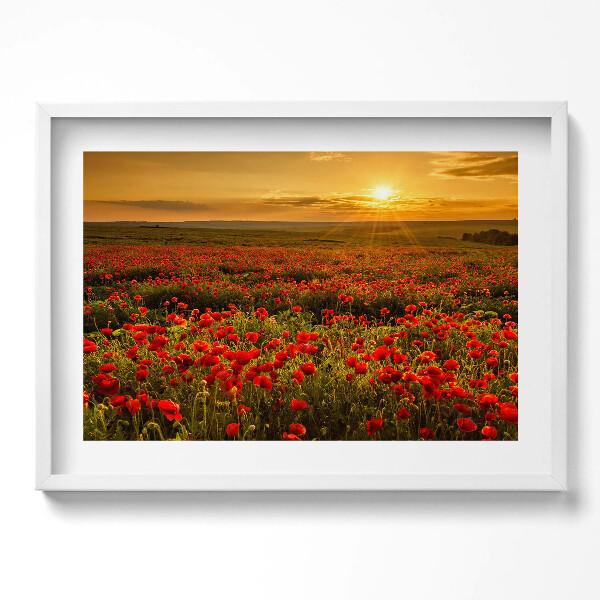 Obraz v rámu moderní Krajina louky květů máku