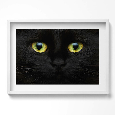Obraz v rámu moderní Zvířecí kočičí oči
