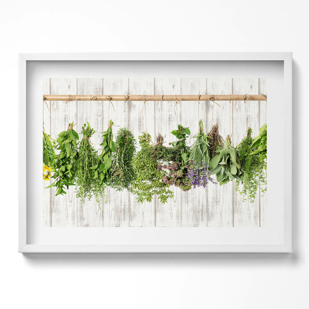 Obraz v rámu moderní Sušené bylinky a rostliny