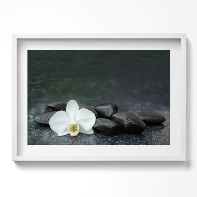 Obraz v rámu moderní Bílý květ Zen kameny