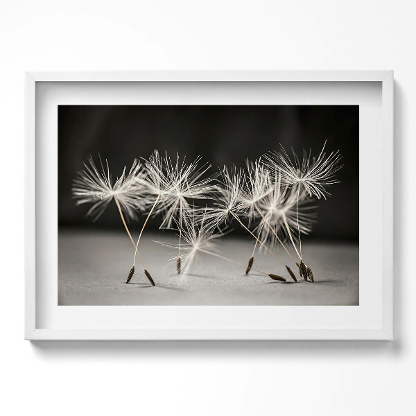 Obraz v rámu moderní Jemný pyl pampelišky