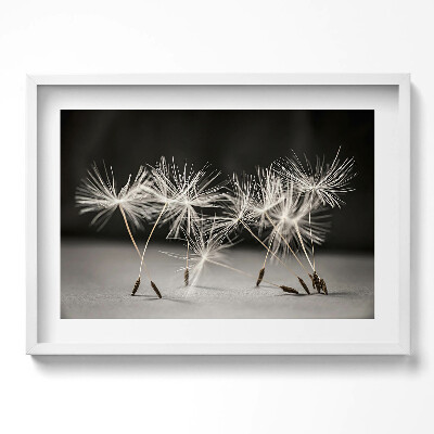 Obraz v rámu moderní Jemný pyl pampelišky