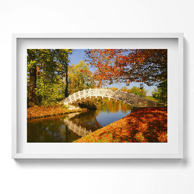 Obraz v rámu moderní Woerlitzer Park ve zlatém podzimu
