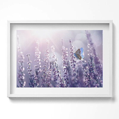 Obraz v rámu moderní Motýl na divokých květinách