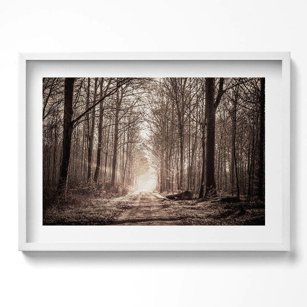 Obraz v rámu moderní Lesní cesta v sépiových barvách
