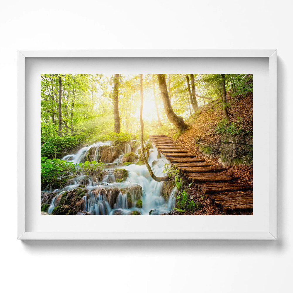Obraz v rámu moderní Potok a schody v lese