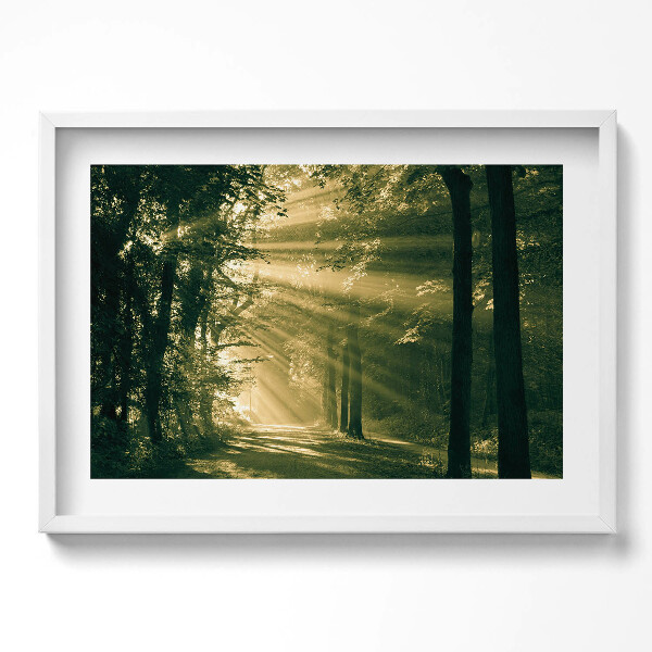 Obraz v rámu moderní Sluneční paprsky v lese