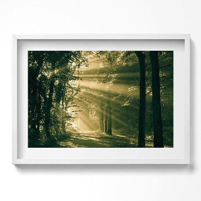 Obraz v rámu moderní Sluneční paprsky v lese