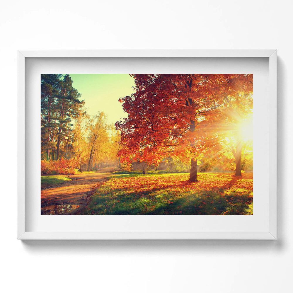 Obraz v rámu moderní Podzimní park