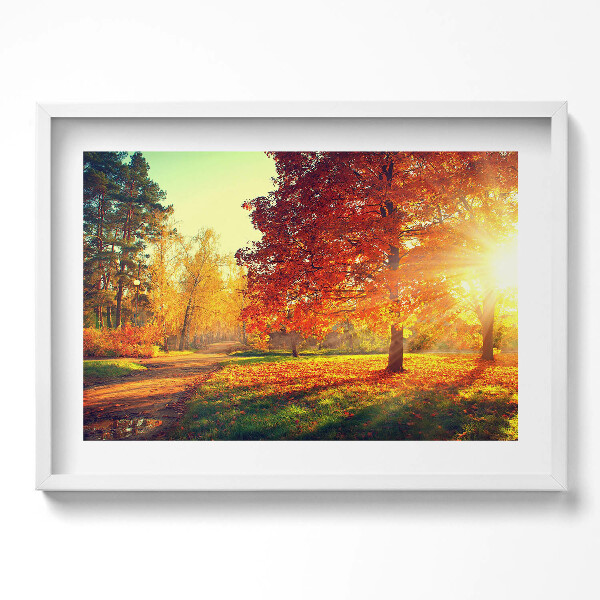 Obraz v rámu moderní Podzimní park