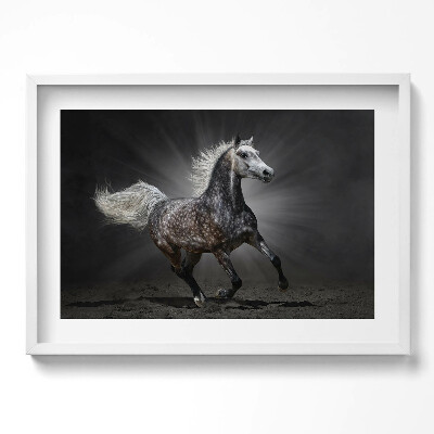 Obraz v rámu moderní Cválající kůň