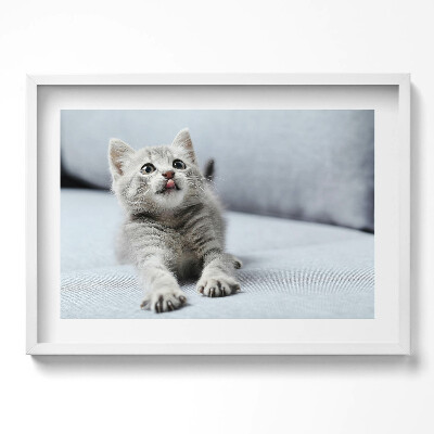 Obraz v rámu moderní Rozkošné koťátko na pohovce