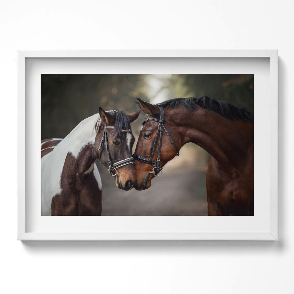 Obraz v rámu moderní Portrét koní v lese
