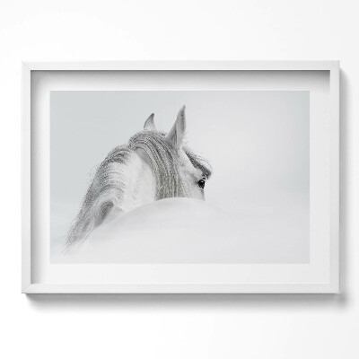 Obraz v rámu moderní Andaluský kůň v mlze