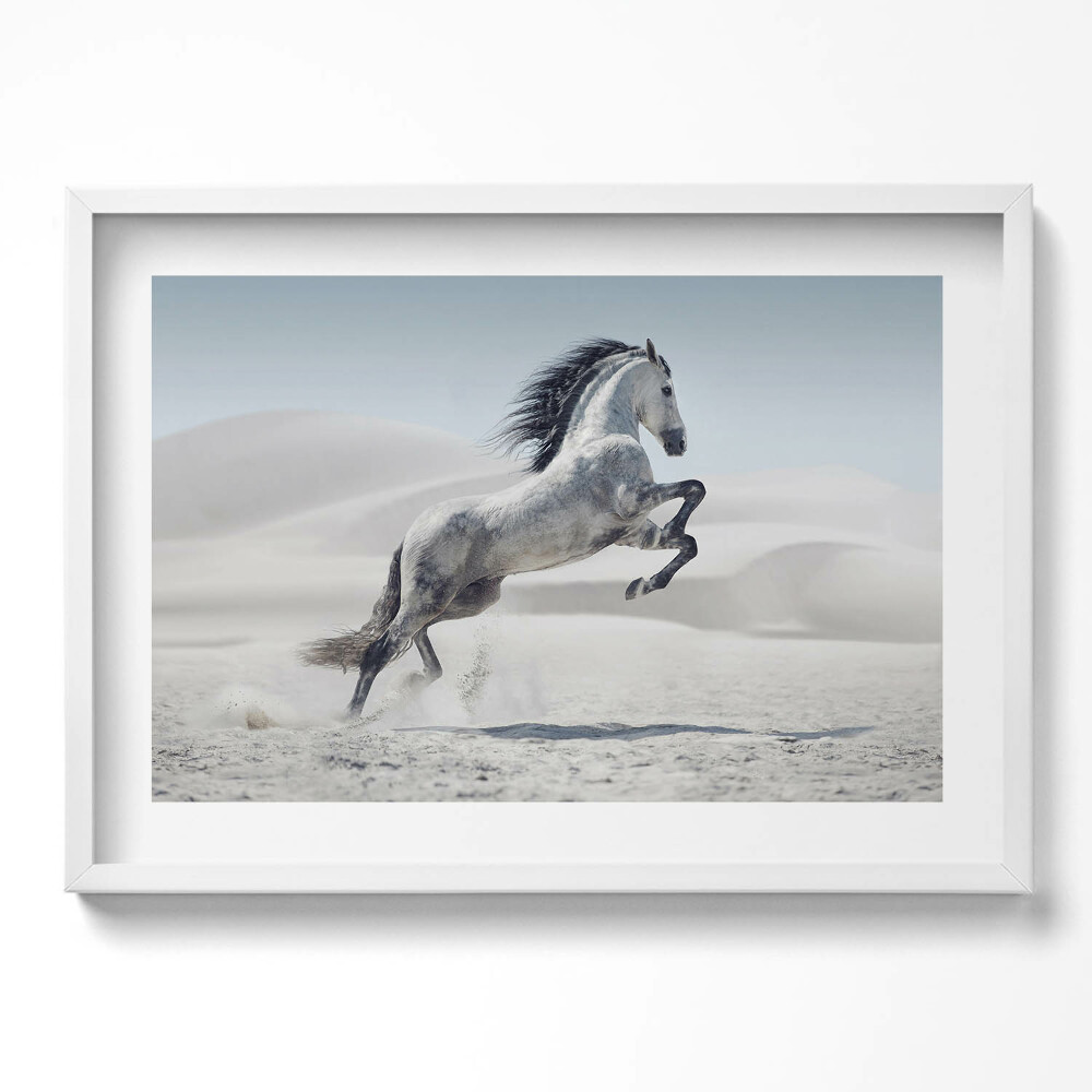 Obraz v rámu moderní Cválající bílý kůň