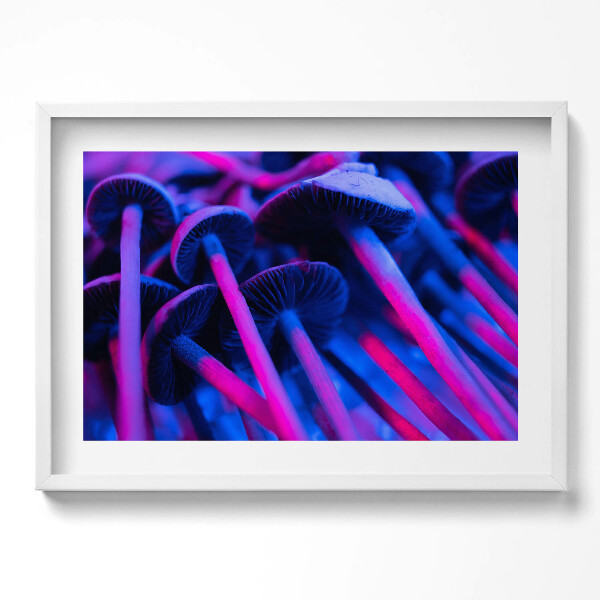 Obraz v rámu moderní Kouzelné barevné houby