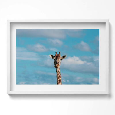 Obraz v rámu moderní Hlava žirafy proti obloze