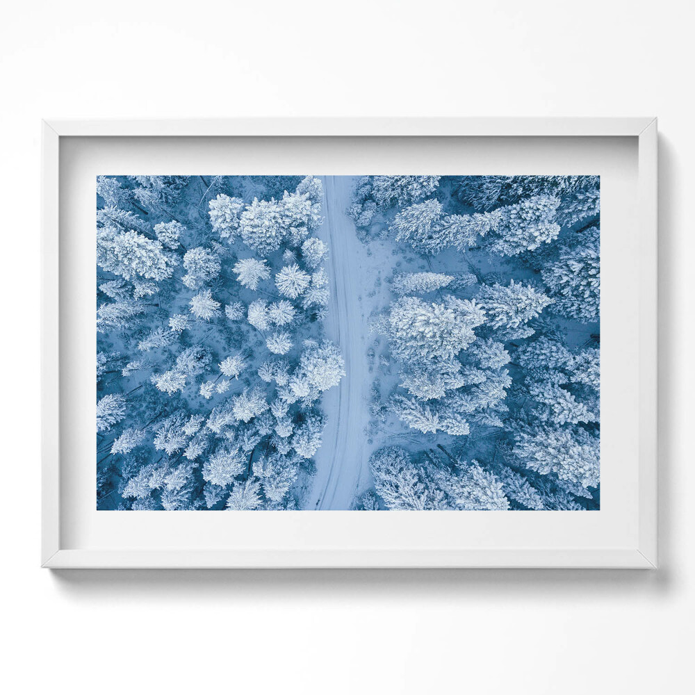 Obraz v rámu moderní Les z ptačí perspektivy