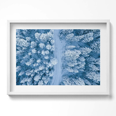 Obraz v rámu moderní Les z ptačí perspektivy