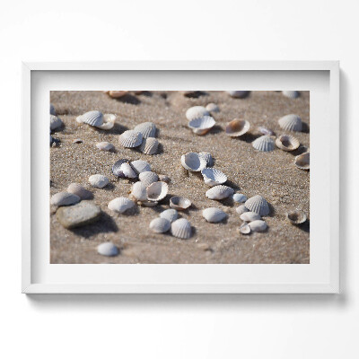 Obraz v rámu moderní Mušle na pláži