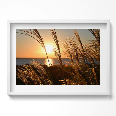 Obraz v rámu moderní Pšenice ve Zlaté hodině