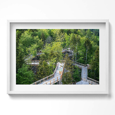 Obraz v rámu moderní Stezka v Krynici Zdrój