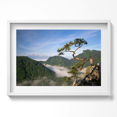 Obraz v rámu moderní Sokolica Wierch v Pieninách