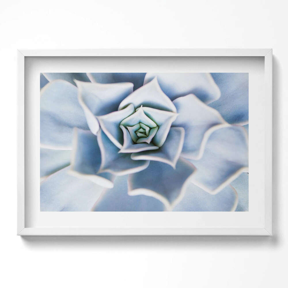 Obraz v rámu moderní Květinová rostlina