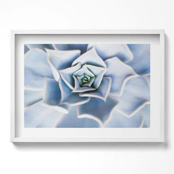 Obraz v rámu moderní Květinová rostlina