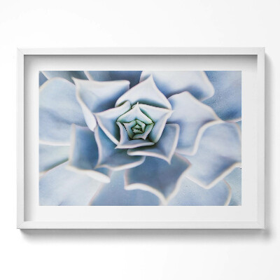 Obraz v rámu moderní Květinová rostlina