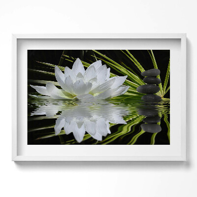 Obraz v rámu moderní Leknín a listy