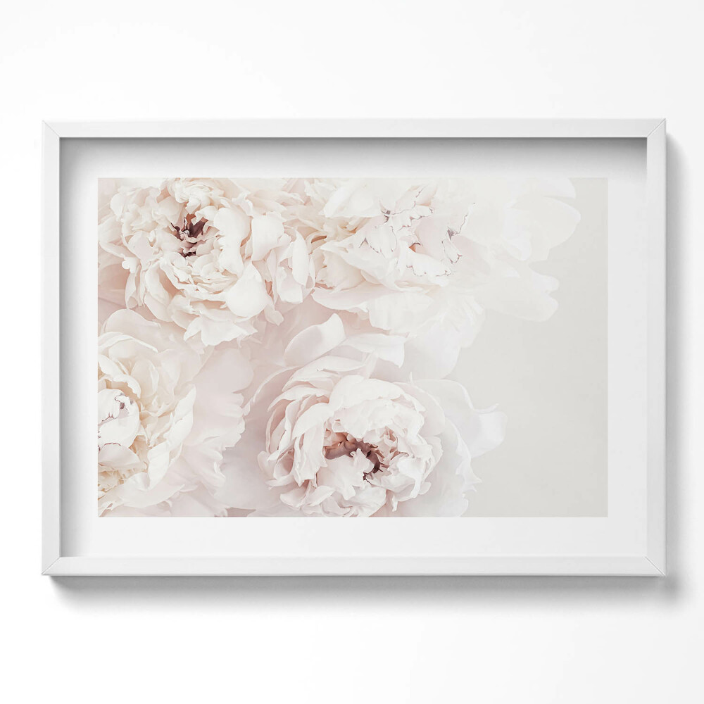 Obraz v rámu moderní Pastelové pivoňky